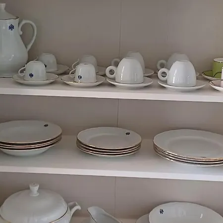 Drago 100, Quiet And Friendly Telde