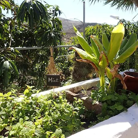 Drago 100, Quiet And Friendly Vakantiehuis