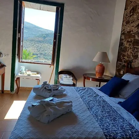 Drago 100, Quiet And Friendly