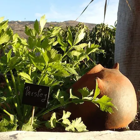 Drago 100, Quiet And Friendly *