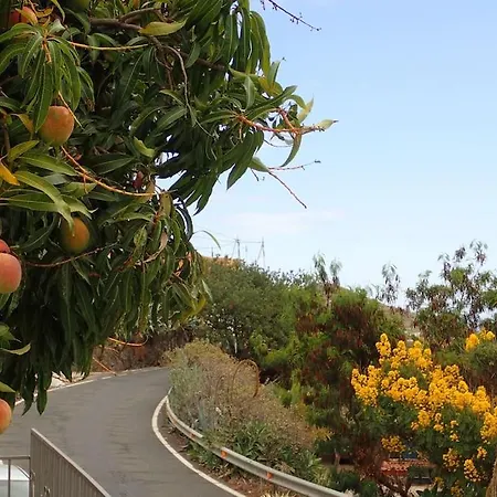 Drago 100, Quiet And Friendly *