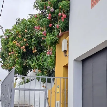 Feriehus Drago 100, Quiet And Friendly