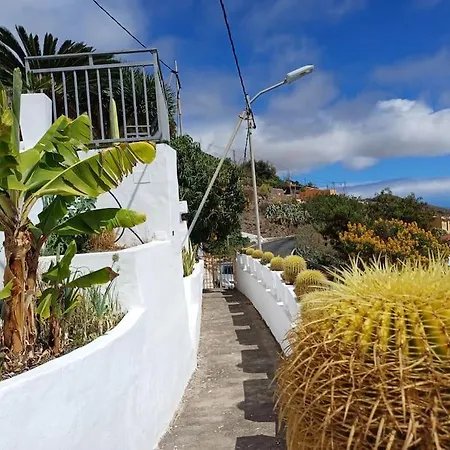 Drago 100, Quiet And Friendly Telde