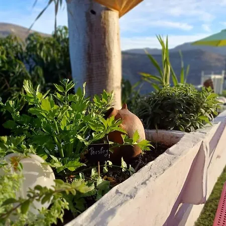 Drago 100, Quiet And Friendly 펜션 *